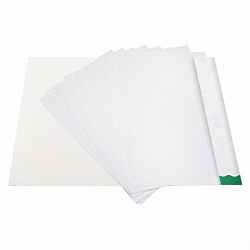 Картон белый А4 МЕЛОВАННЫЙ (белый оборот), 10 листов, в папке, BRAUBERG KIDS, 200х283, 115161