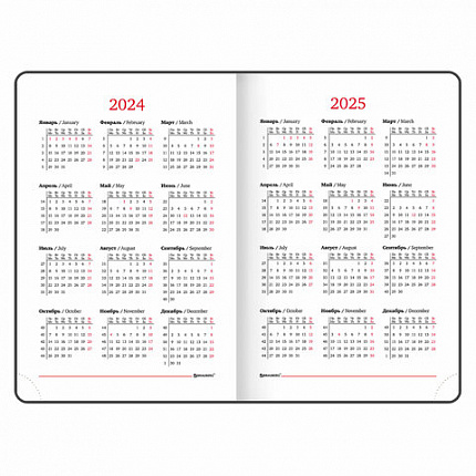 Ежедневник датированный 2024 А5 138x213 мм BRAUBERG "Control", под кожу, держатель для ручки, черный, 114918