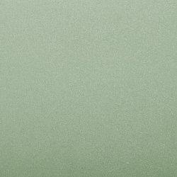 Тетрадь на кольцах А5 175х220 мм, 120 л., пластик, с разделителями, BRAUBERG, Зеленый, 404629
