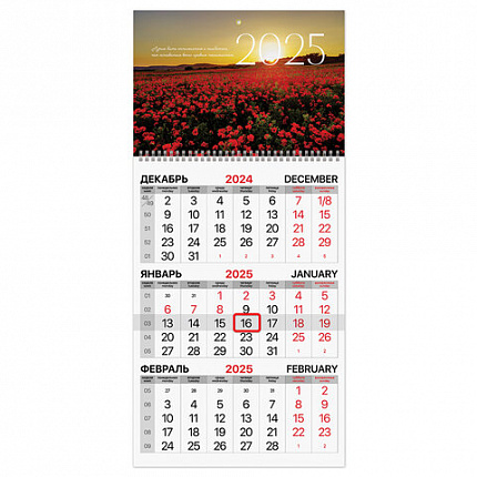 Календарь квартальный 2025г, 1 блок 1 гребень бегунок, мелованная бумага, BRAUBERG, Цветочное поле, 116129