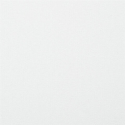 Картон белый А4 МЕЛОВАННЫЙ (белый оборот), 20 листов, в папке, BRAUBERG KIDS, 203х283 мм, 115160
