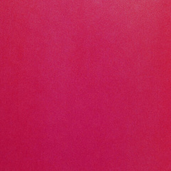 Цветная бумага А4 офсетная, 24 листа 24 цвета, на скобе, BRAUBERG, 200х280 мм, "Птица", 113538