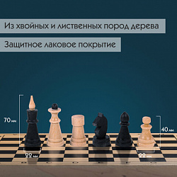 Шахматы классические обиходные, деревянные, лакированные, доска 29х29 см, ЗОЛОТАЯ СКАЗКА, 664669