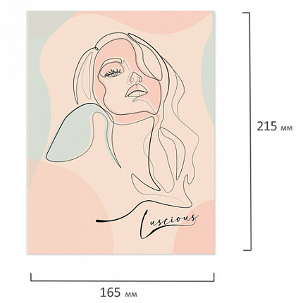 Тетрадь на кольцах А5 (165х215 мм), 120 листов, твердый картон, клетка, BRAUBERG, Девушка, 404076