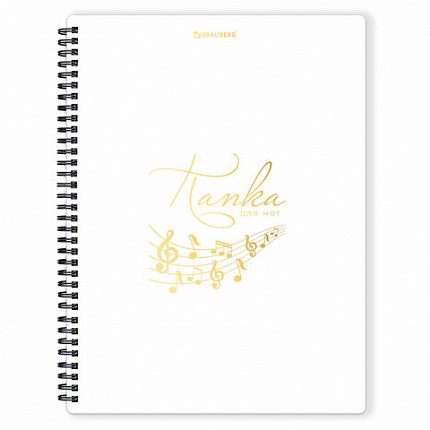 Папка тетрадь для нот А4, 20 вкладышей на 40 страниц, на гребне, пластик, БЕЛАЯ, BRAUBERG, 404644