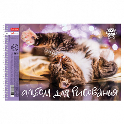 Альбом для рисования А4 24 л., спираль, обложка картон, HATBER, 198х300 мм, "Кот Борис" (5 видов), 079771, 24А4Всп