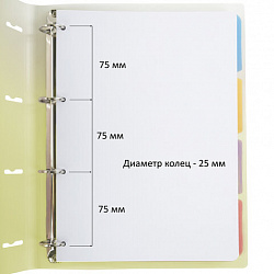 Тетрадь на кольцах БОЛЬШАЯ 305х235 мм А4, 120 л., пластик, с разделителями, BRAUBERG, Желтый, 404624