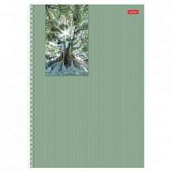 Тетрадь А4 80 л,. HATBER, гребень, клетка, матовая ламинация, цветной срез, "Прикосновение к природе" (микс), 086364, 80Т4лВ1гр
