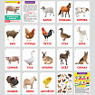 Карточки Домана, 8 развивающих брошюр по методике ГЛЕНА ДОМАНА, 145 изображений, ЮНЛАНДИЯ, 691022