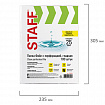 Папки-файлы перфорированные А4 STAFF "ЭКОНОМ", КОМПЛЕКТ 100 шт., гладкие, 25 мкм, 228504