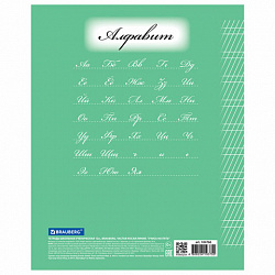 Тетрадь 12 л. BRAUBERG ЭКО "5-КА", частая косая линия, обложка плотная мелованная бумага, ЗЕЛЕНАЯ, 104766