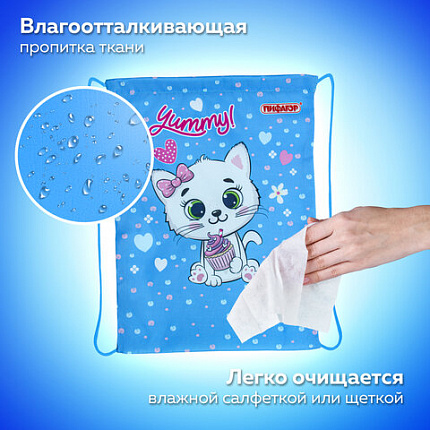 Мешок для обуви ПИФАГОР, 1 отделение, 42х34 см, "Вкусный кексик", 271603