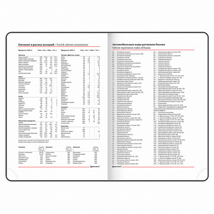 Ежедневник недатированный А5 (138х213 мм), BRAUBERG VISTA, под кожу, гибкий, 136 л., "Enigma", 111989