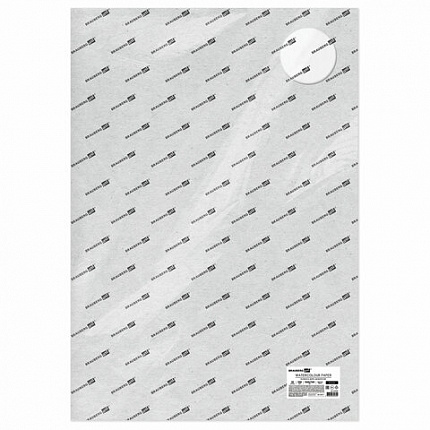 Бумага для акварели 300 г/м2 560x760 мм крупное зерно, 10 листов, BRAUBERG ART PREMIERE, 113239