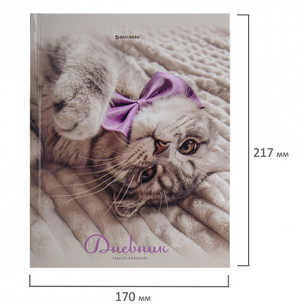 Дневник 5-11 класс 48 л., твердый, BRAUBERG, глянцевая ламинация, с подсказом, "Котик", 107188