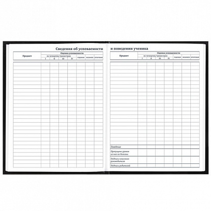 Дневник 1-11 класс 40 л., твердый, BRAUBERG, матовая ламинация, "Футбол", 107173