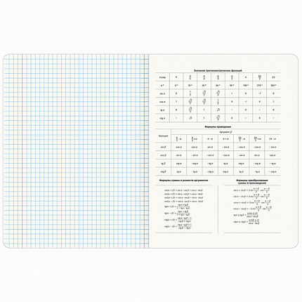 Тетради предметные, КОМПЛЕКТ 12 ПРЕДМЕТОВ, 48 л., SoftTouch, BRAUBERG, "ESTHETICS", 404833