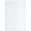 Сменный блок к тетради на кольцах БОЛЬШОГО ФОРМАТА А4, 120 л., BRAUBERG, Белый, 404518