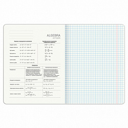Тетрадь предметная DOG БОБИК 48 л., TWIN-лак, АЛГЕБРА, клетка, подсказ, BRAUBERG, 404782