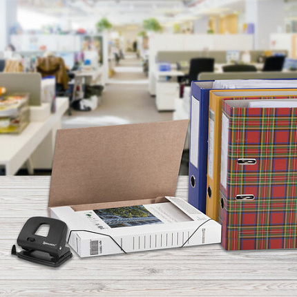 Папка архивная с резинкой А4 (325х250 мм), 45 мм, до 400 листов, плотная, микрогофрокартон, БЕЛАЯ, BRAUBERG, 126511