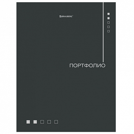 Папка-портфолио универсальная, 4 кольца, 20 файлов, 7БЦ матовая, BRAUBERG "Minimalism", 117553