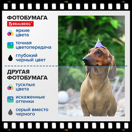 Фотобумага глянцевая, 10х15 см, 180 г/м2, односторонняя, 100 листов, ПАКЕТ, BRAUBERG ORIGINAL, 364405