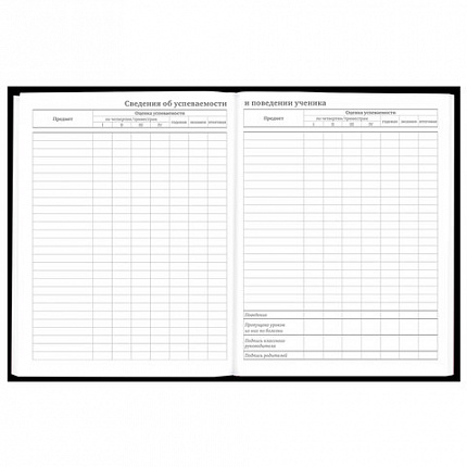 Дневник 5-11 класс 48 л., твердый, BRAUBERG, матовая ламинация, с подсказом, "Штош", 107190