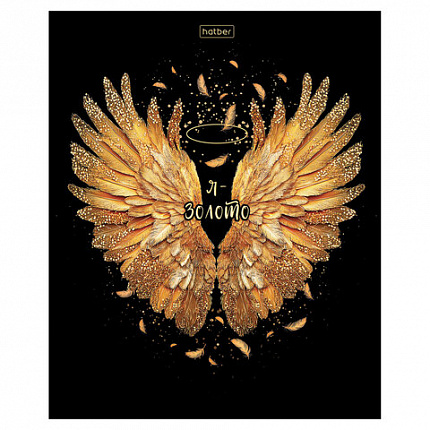 Тетрадь А5 48 л., HATBER, скоба, клетка, матовая ламинация, 3D-фольга, Крылья ангела (микс), 091164, 48Т5лофВ1