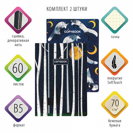 Тетради 60 л. в точку обложка SoftTouch, НАБОР 2 шт., бежевая бумага 70 г/м2, сшивка, B5 (179х250 мм), НОЧЬ, BRAUBERG, 403829