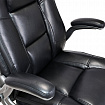 Кресло BRABIX PREMIUM "Paradigm EX-556", пружинный блок, рециклированная кожа, черное, 532976