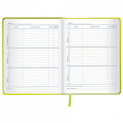 Дневник 1-11 класс 48 л., кожзам (твердая с поролоном), тиснение аппликация, BRAUBERG, "Super Avo", 106205