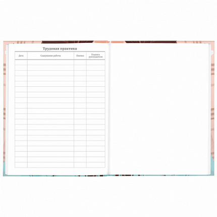 Дневник 5-11 класс 48 л., твердый, BRAUBERG, глянцевая ламинация, с подсказом, "Summer girl", 106882