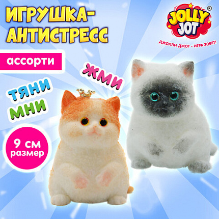 Игрушка-антистресс "Котик малый", 9 см, ассорти, 2 цвета, дисплей, JOLLY JOT (ДЖОЛЛИ ДЖОТ), 666569