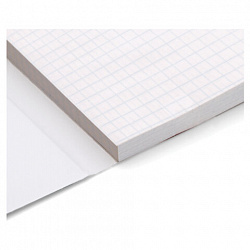 Блокнот МАЛЫЙ ФОРМАТ А6, 40 л., склейка, мелованная бумага, клетка, глянцевая ламинация, HATBER, "Кототерапия", 057230, 40Б6лA1к