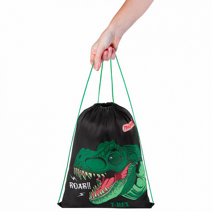 Мешок для обуви ПИФАГОР, 1 отделение, 42х34 см, "Dino roar", 272387