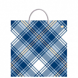 Пакет с пластиковой ручкой ПВД, 36х37 см, "Адмирал", 100 мкм, н00129222