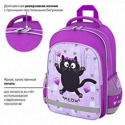 Рюкзак ПИФАГОР SCHOOL, 1 отделение, 3 кармана, "Падающий котик", 38x28х14 см, 272082
