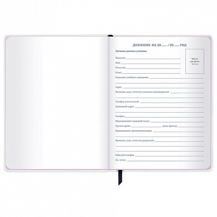 Дневник 1-11 класс 48 л., кожзам (твердая), печать, глиттер, ЮНЛАНДИЯ, "Панда", 106558