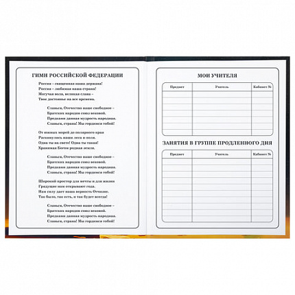 Дневник 1-4 класс 48 л., твердый, BRAUBERG, глянцевая ламинация, с подсказом, "Милый котик", 106835