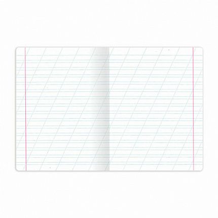 Тетрадь 12 л. BRAUBERG косая линия, обложка картон, CLASSIC, 107291