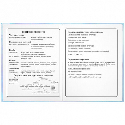 Дневник 1-4 класс 48 л., твердый, ЮНЛАНДИЯ, блестки, с подсказом, "Фея", 106608