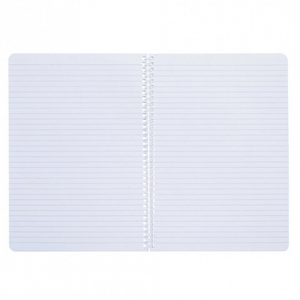 Тетрадь А4 96 л., HATBER, гребень, линия, обложка картон, "Вдохновение вокруг" (микс в спайке), 088816, 96Т4В2гр