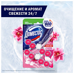 Блок туалетный подвесной твердый 2х55 г, ДОМЕСТОС Сила 5 в 1 "Ледяная магнолия"