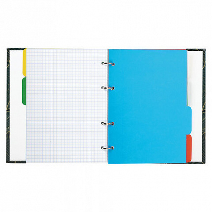 Тетрадь на кольцах А5 (175х215 мм), 240 листов, твердый картон, клетка, с разделителями, BRAUBERG, Листья, 404099