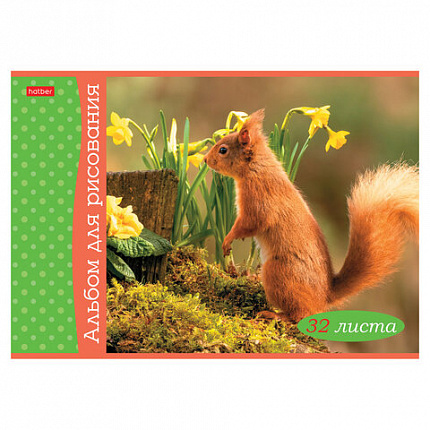Альбом для рисования А4, 32 л., скоба, обложка картон, HATBER, 205х290 мм, "Белочка пришла" (5 видов), 091519, 32А4В