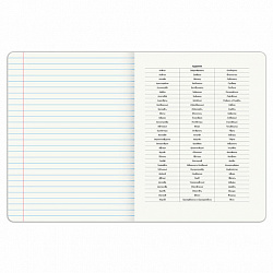 Тетрадь предметная PIGMENT 48 л., глянцевый УФ-лак, РУССКИЙ ЯЗЫК, линия, подсказ, BRAUBERG, 404767