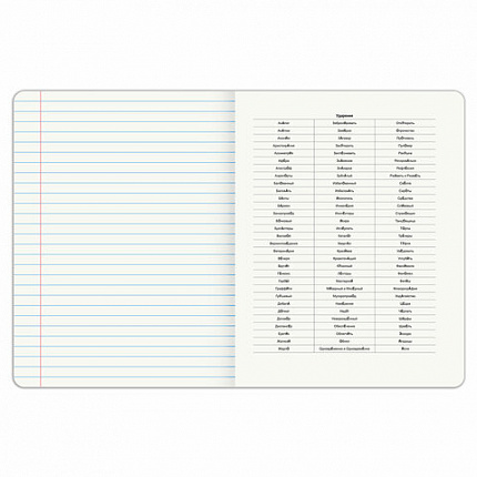 Тетрадь предметная PIGMENT 48 л., глянцевый УФ-лак, РУССКИЙ ЯЗЫК, линия, подсказ, BRAUBERG, 404767