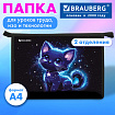 Папка для труда на молнии BRAUBERG А4, 2 отделения, органайзер, "Сияющий котик", 274531