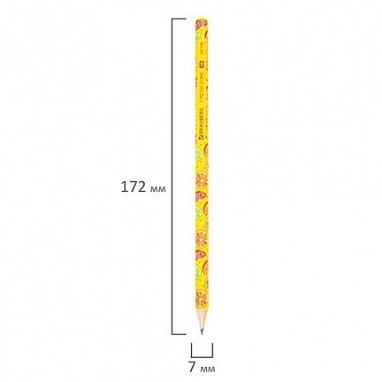 Карандаш чернографитный BRAUBERG "FRESH ZONE", 1 шт., HB, корпус ассорти, 181759
