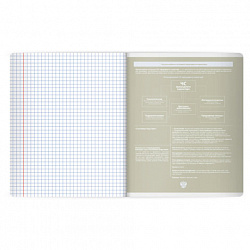 Тетрадь предметная MonoPastel 48 л., пластиковая обложка, ОБЗР, клетка, подсказ, BRAUBERG, 405513
